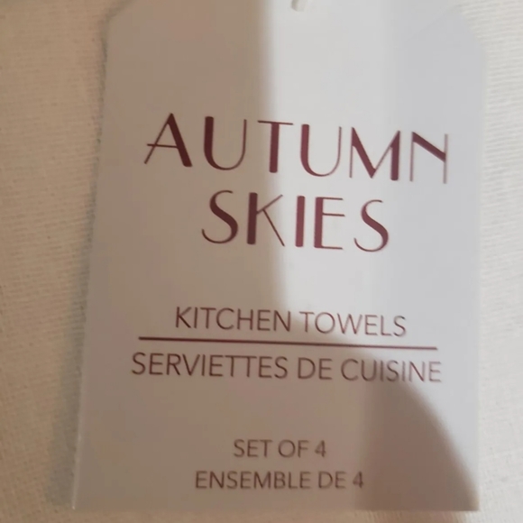 Set of 4 Autumn Skies FALL FOOTBALL FAMILY Striped Kitchen Towels New - Picture 8 of 8